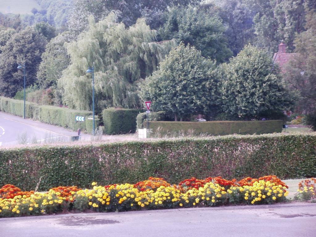 EchinghenLa Ferme Fleurie别墅 外观 照片